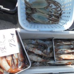 大進丸（愛知） 釣果