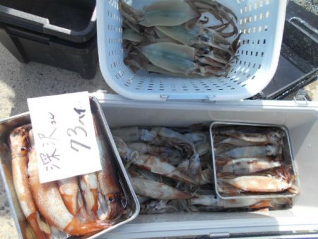 大進丸（愛知） 釣果