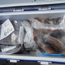 大進丸（愛知） 釣果