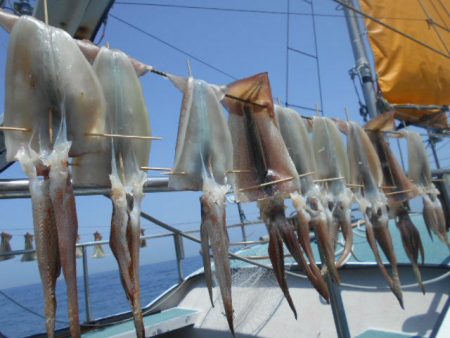 大進丸（愛知） 釣果