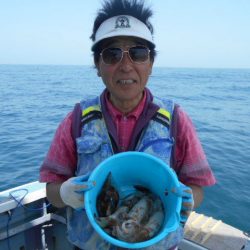 大進丸（愛知） 釣果