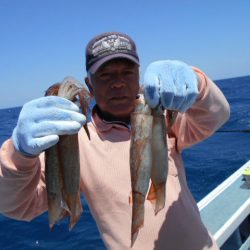 大進丸（愛知） 釣果