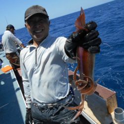 大進丸（愛知） 釣果