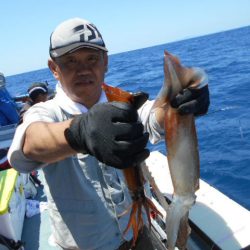 大進丸（愛知） 釣果