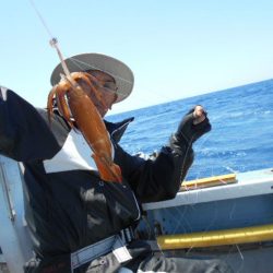 大進丸（愛知） 釣果