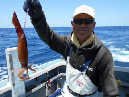 大進丸（愛知） 釣果