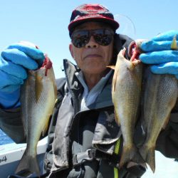 大進丸（愛知） 釣果