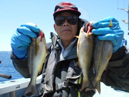 大進丸（愛知） 釣果