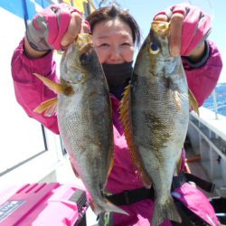 大進丸（愛知） 釣果