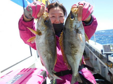 大進丸（愛知） 釣果