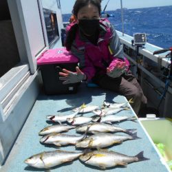 大進丸（愛知） 釣果