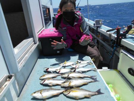 大進丸（愛知） 釣果