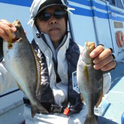 大進丸（愛知） 釣果