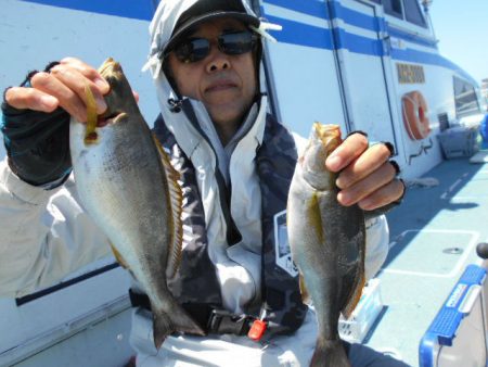 大進丸（愛知） 釣果