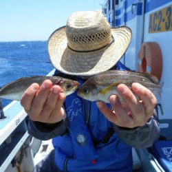大進丸（愛知） 釣果