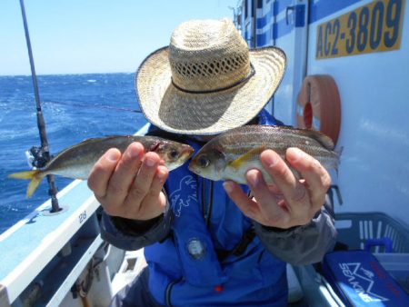 大進丸（愛知） 釣果