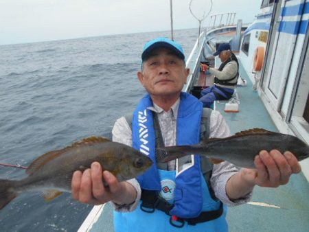 大進丸（愛知） 釣果