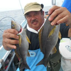 大進丸（愛知） 釣果