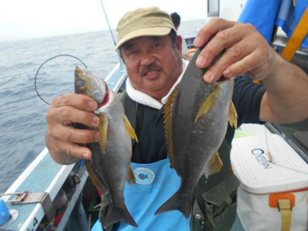 大進丸（愛知） 釣果