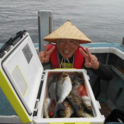 大進丸（愛知） 釣果