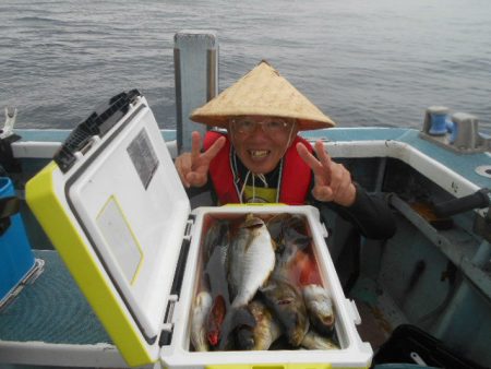 大進丸（愛知） 釣果