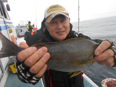 大進丸（愛知） 釣果