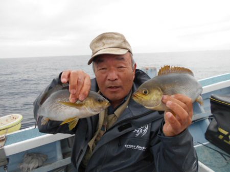 大進丸（愛知） 釣果