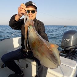 フィッシングボート空風(そらかぜ) 釣果