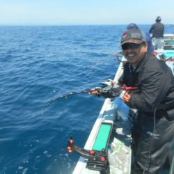 大進丸（愛知） 釣果