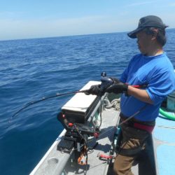 大進丸（愛知） 釣果