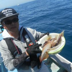 大進丸（愛知） 釣果