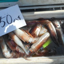 大進丸（愛知） 釣果