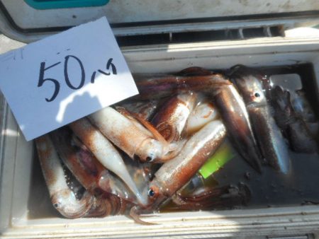 大進丸（愛知） 釣果