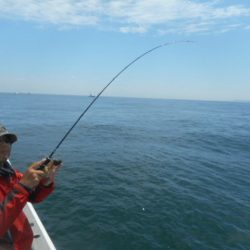 大進丸（愛知） 釣果