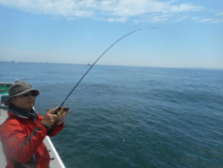 大進丸（愛知） 釣果