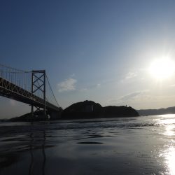 Fisherman Dreams DI 釣果