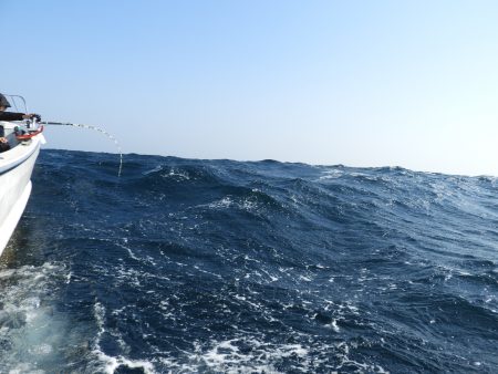 Fisherman Dreams DI 釣果