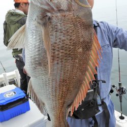 Fisherman Dreams DI 釣果