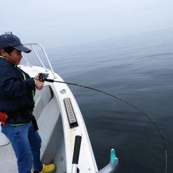 Fisherman Dreams DI 釣果