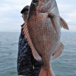 Fisherman Dreams DI 釣果