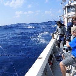 Fisherman Dreams DI 釣果