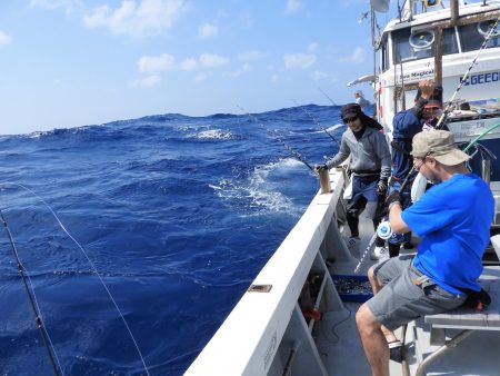 Fisherman Dreams DI 釣果