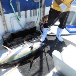 Fisherman Dreams DI 釣果