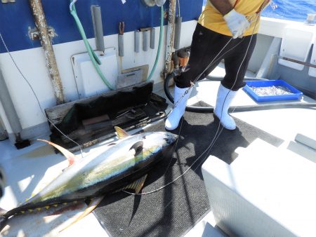 Fisherman Dreams DI 釣果