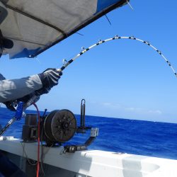 Fisherman Dreams DI 釣果