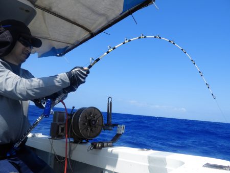 Fisherman Dreams DI 釣果