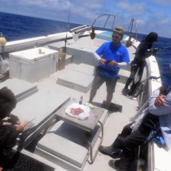 Fisherman Dreams DI 釣果