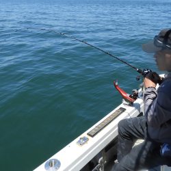 Fisherman Dreams DI 釣果