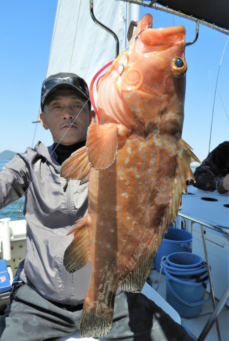 Fisherman Dreams DI 釣果