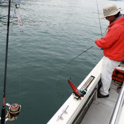 Fisherman Dreams DI 釣果